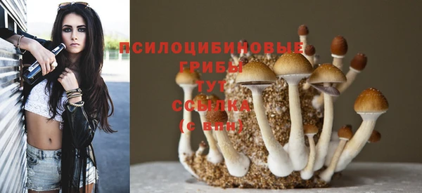 прущие грибы Белоозёрский