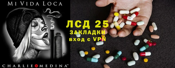 прущие грибы Белоозёрский